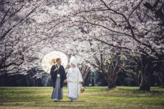 シンプル桜プラン