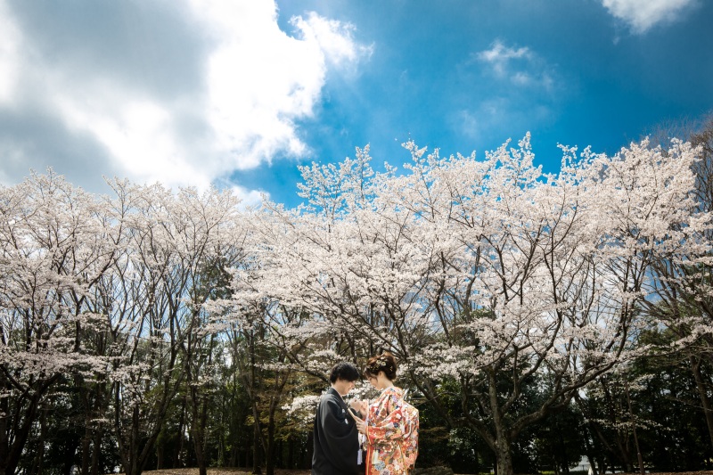 春の暖かな日差しの中で…