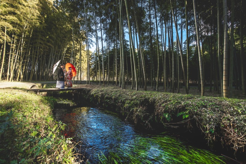 綺麗な小川も近くにあります