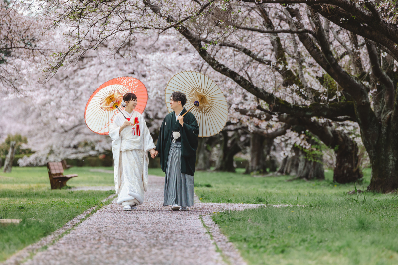 桜の花びらを歩く素敵な写真