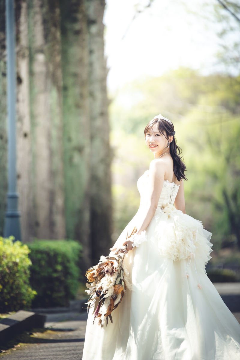 新緑が出てきています