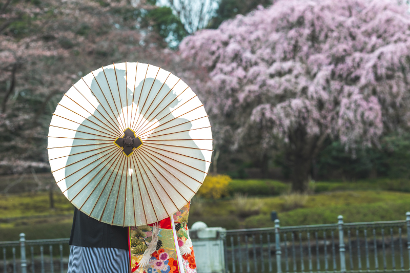 桜をバックに…