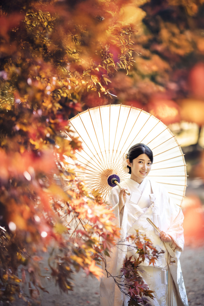 楓紅葉に囲まれて