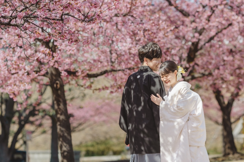 河津桜がきれいです♪