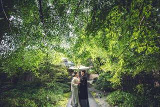 10月半ばまでは緑がまだ日光でもあります！