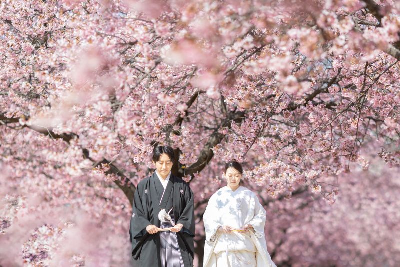 桜と竹の和装にぴったりロケ