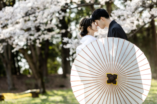 桜の木の下で…