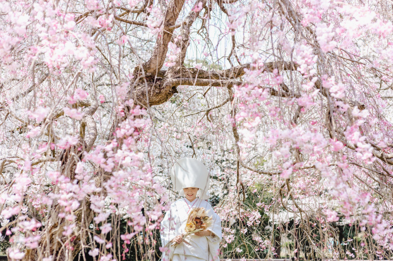 シンプル和装プラン桜