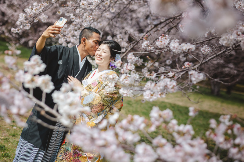 4月の桜は色打掛を選ぶ方が多いです
