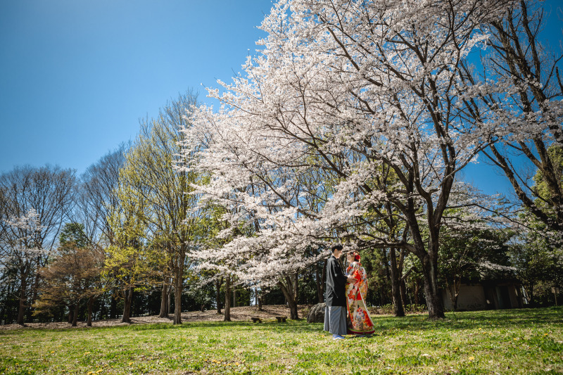 春の暖かな日差しの中で…