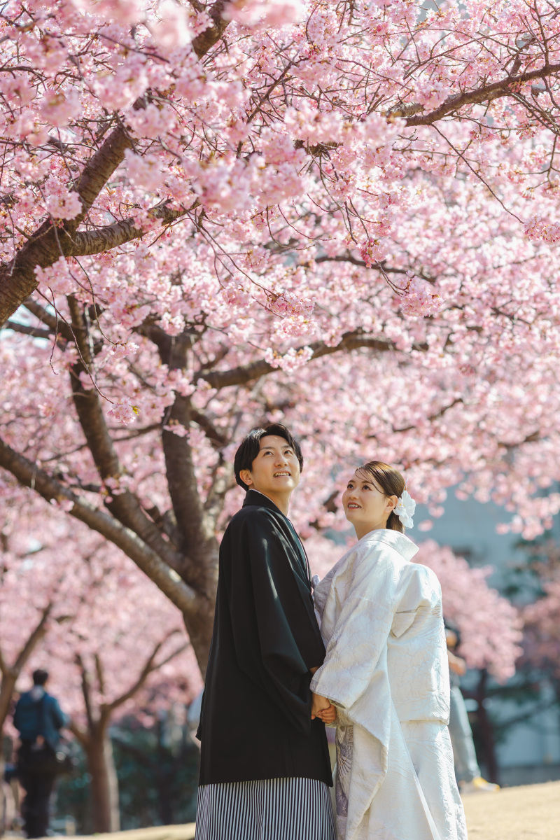 ピンクの綺麗な河津桜