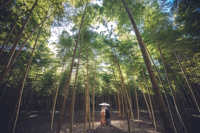 竹林ならではの写真