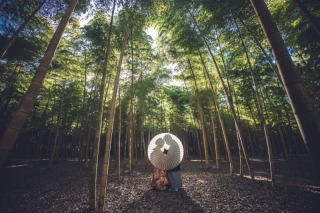 新ロケーション場所♪若竹の杜　映画のロケ地にもなっている竹林での撮影