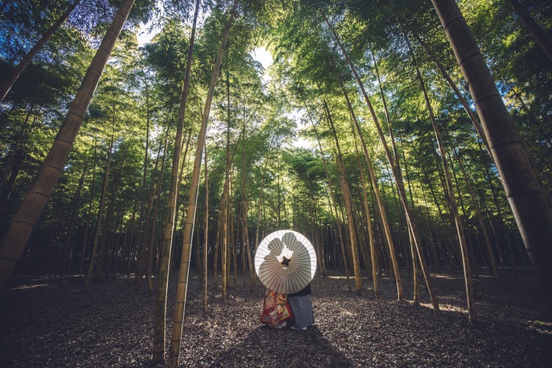 新ロケーション場所♪若竹の杜 映画のロケ地にもなっている竹林での撮影