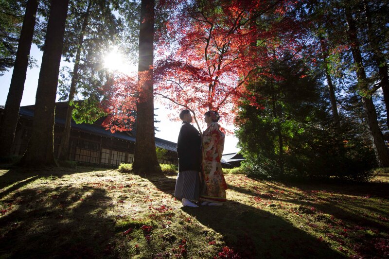 御用邸へと通じる木立の中での1枚