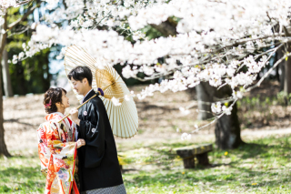 桜の木の下で…