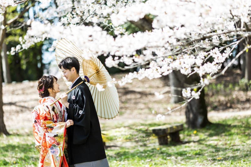 桜の木の下で…