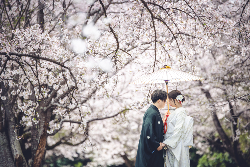 洋装と和装のダブルプランでの申し込みです