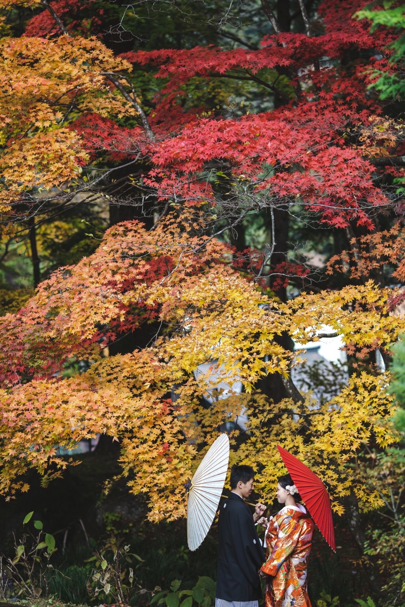 撮影の申請料・移動の費用も全てプラン内