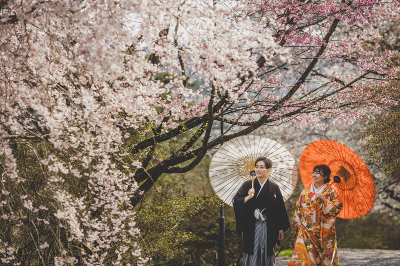 桜が綺麗な宇都宮中央公園