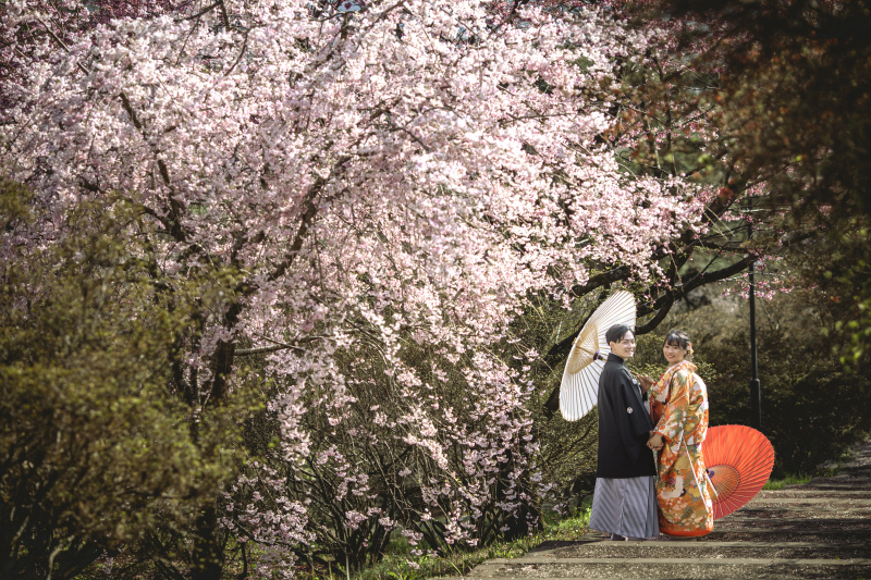 華雅苑　宇都宮店_人気スポットで撮影できる