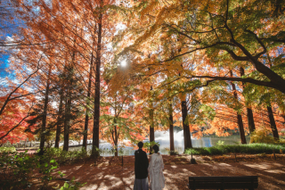 華雅苑　宇都宮店_紅葉の季節