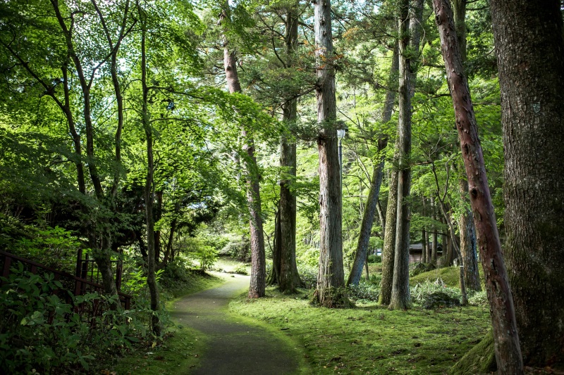 趣のある建物と風情ある庭園で撮影が出来ます。