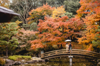 華雅苑　宇都宮店_紅葉の季節