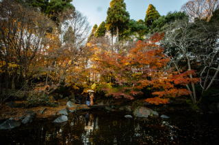 華雅苑　宇都宮店_紅葉の季節