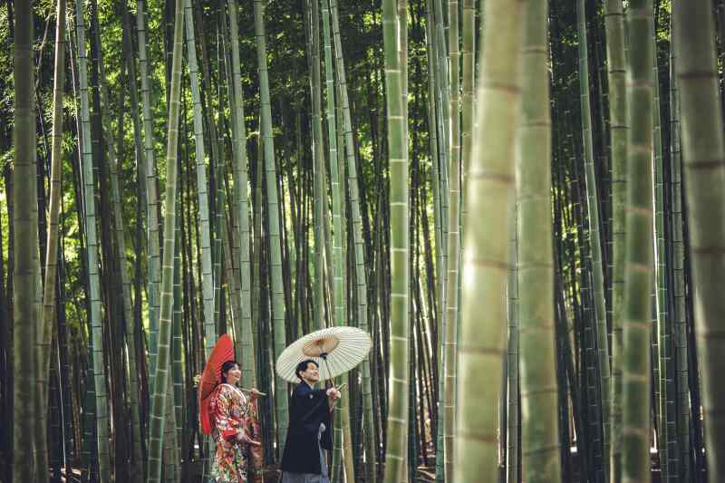 若竹の杜撮影　78000円　お好きな衣装1着（衣装差額なし）着付メイクヘア　撮影　データレタッチ済み100付