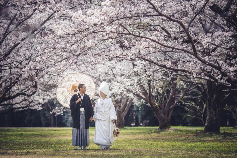 早期予約3月15日〜4月10頃　桜シンプルプランお好きな衣装1着（衣装差額なし）89,000円！レタッチ済データ130カット付き