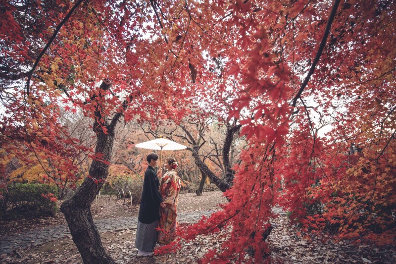 お得♪ 和装紅葉 お好きな衣装2着(衣装差額無し)日本庭園ロケ スタジオ撮影あり 200カットレタッチ済み付 115,000円
