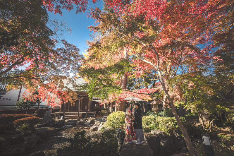 紅葉11月12月中旬 菊翠苑で撮影する紅葉撮影 和室撮影付!130,000→108,000 データ130ついてます