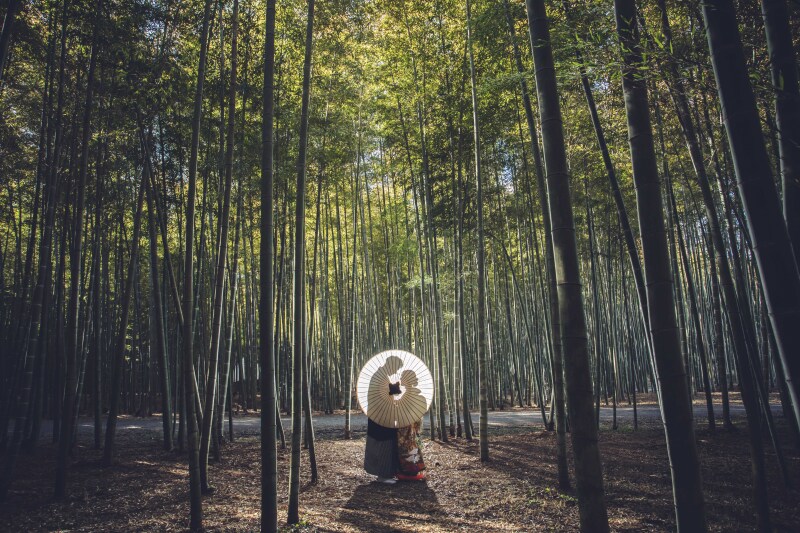 若竹の杜撮影　78000円　お好きな衣装（衣装差額なし）着付メイクヘア　撮影　データレタッチ済み120付