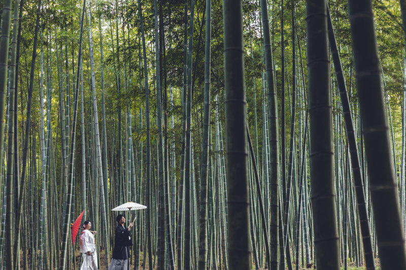 5月6月和装 洋装2着プラン 143000→128000お好きな和装衣装 洋装衣装を選んで撮影(衣装差額なし)