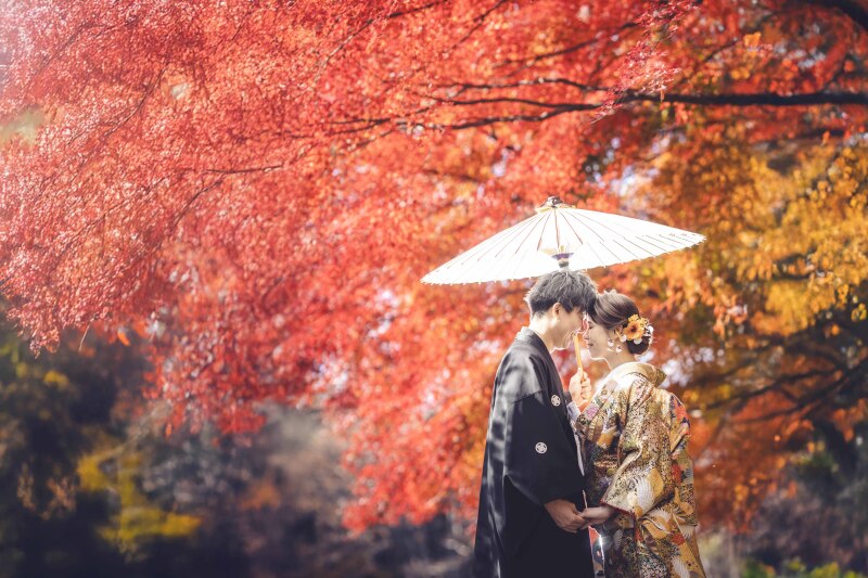 お勧め 11月後半12月中旬 紅葉 日本庭園撮影 お好きな衣装1着 98000円