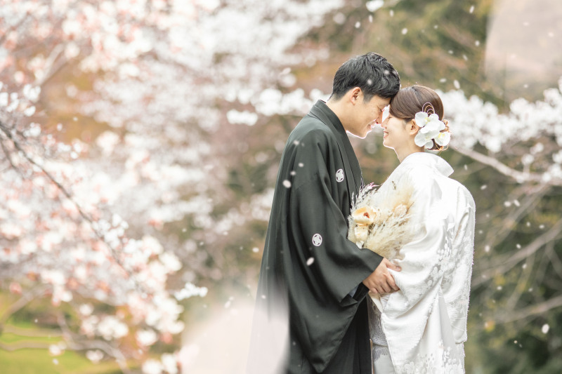 早期予約3月15日〜4月10頃　桜シンプルプランお好きな衣装1着（衣装差額なし）89,000円！レタッチ済データ130カット付き