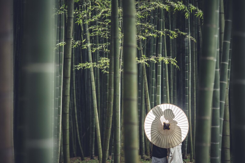 人気!和室レンタル付 掬翠苑紅葉+若竹の杜 2箇所ロケお好きな衣装2着(衣装差額無し)データ200レタッチ済付 128,000円