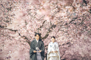 3/15~4/10頃桜ロケ＋日本庭園2ヶ所ロケプラン　好きな衣装2着（衣装差額なし）110,000円データ230カット付
