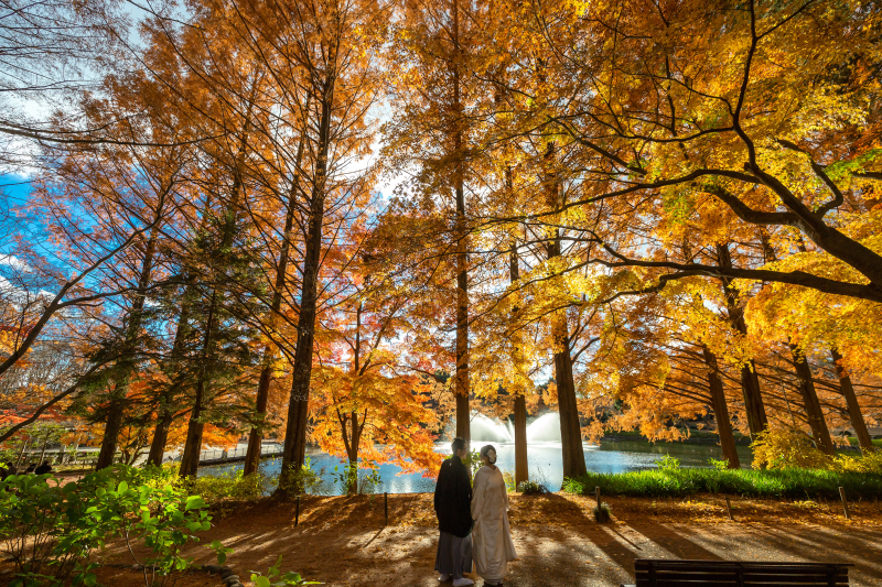11/26~12/15紅葉日本庭園撮影 お好きな衣装一着着て130,000⇨108,000!データ130カット付