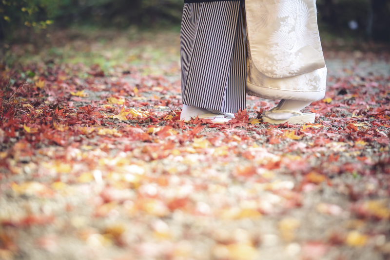 人気プラン 11月日光紅葉和装1着(衣装差額なし)110,000⇨95,000!データ付
