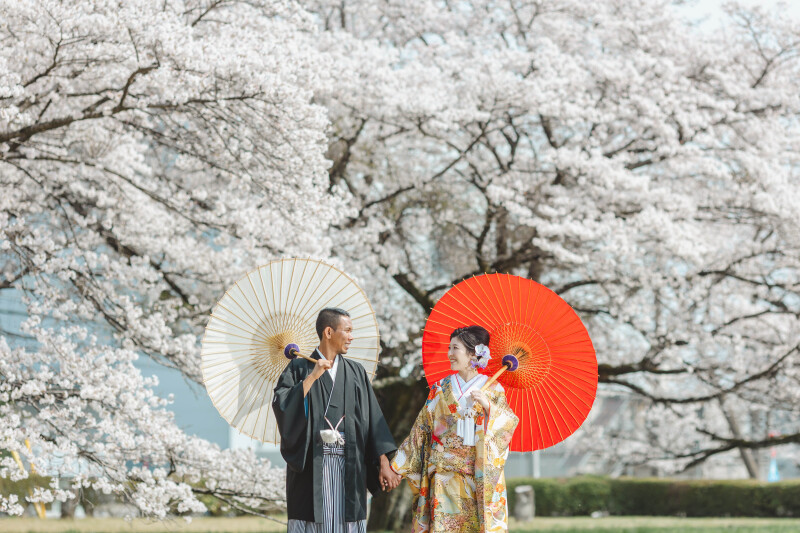 3/15~4/10頃桜ロケ＋若竹の杜2ヶ所ロケプラン　好きな衣装2着（衣装差額なし）118,000円データ230カット付