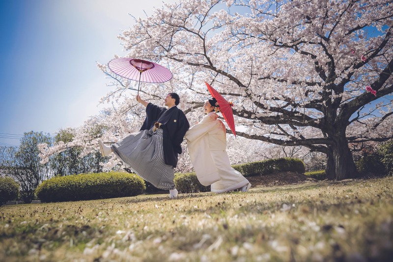 早期予約3月15日〜4月10頃　桜シンプルプランお好きな衣装1着（衣装差額なし）89,000円！レタッチ済データ130カット付き