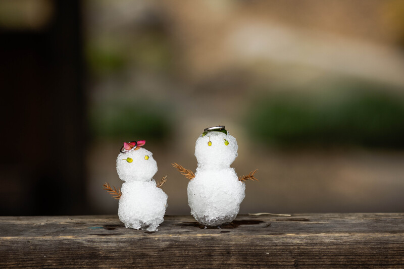 1月2月　日本庭園撮影　68,000円　お好きな衣装１着（衣装差額なし）データ130カット付レタッチ済