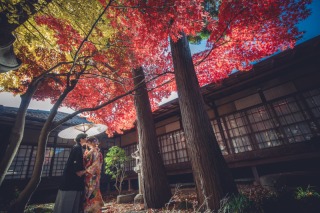 紅葉撮影（11/20～12/10)♪早割10組様２０Pアルバムプレゼント　掬翠苑で撮影★和装壱点プラン衣裳（差額無し）・データ付