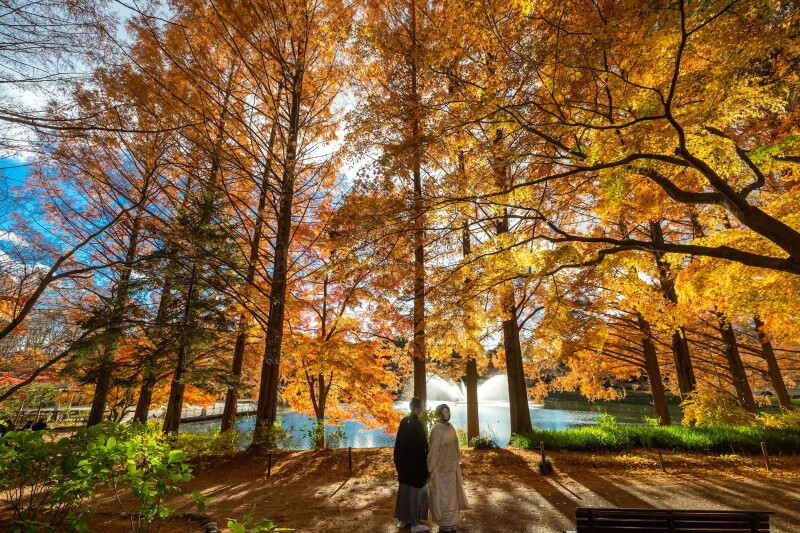 お得♪ 和装紅葉 お好きな衣装2着(衣装差額無し)日本庭園ロケ スタジオ撮影あり 200カットレタッチ済み付 115,000円