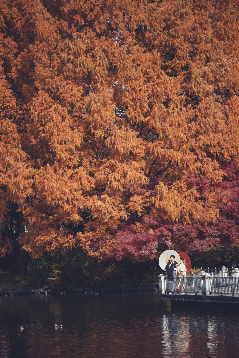 11/26~12/15紅葉日本庭園撮影 お好きな衣装一着着て130,000⇨108,000!データ130カット付