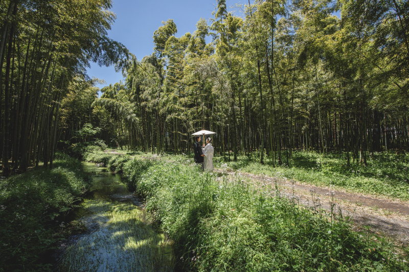 7月8月 お好きな衣装2着(衣装差額なし)若竹の杜と掬翠苑の豪華2ヶ所ロケ 105000税込ウェルカムボードプリントサービス