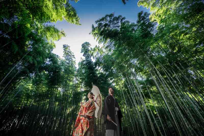 【４月撮影】若竹の杜　88000円　お好きな衣装2着（衣装差額なし）着付メイクヘア　撮影　データレタッチ済み130付