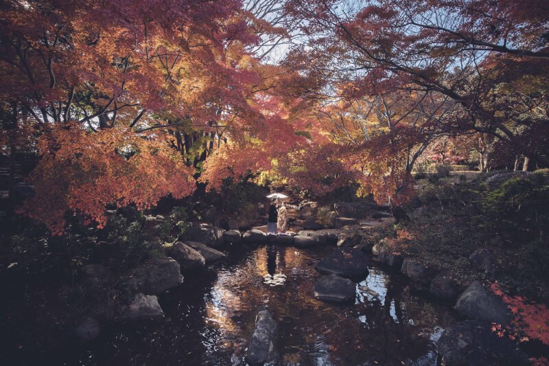 お勧め 11月後半12月中旬 紅葉 日本庭園撮影 お好きな衣装1着 98000円